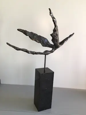 Corry Ammerlaan - “ Met het juiste doel voor ogen “. kopen? Bied vanaf 139!