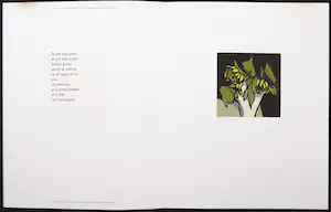 Fon Klement - en Marion Bloem - Uitgave Zwartwit in en achter kleuren kopen? Bied vanaf 150!