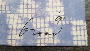 Herman Brood - De zanger kopen? Bied vanaf 10!