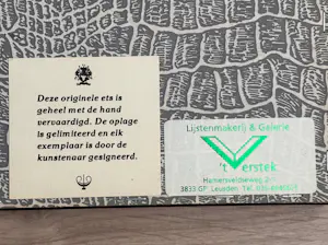 Albertus Wieringa - Zuidsingel Amersfoort kopen? Bied vanaf 58!