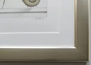 Michael Parkes - The Seahorse Collector - gesigneerde ingelijste steendruk kopen? Bied vanaf 495!