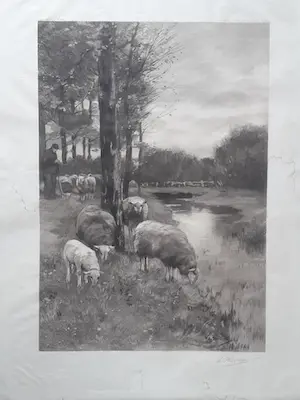 Willem Steelink (jr.) - Boer met schapen aan slootkant. kopen? Bied vanaf 49!