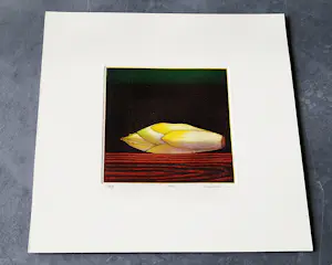 Joop Vegter - Fraaie kleine mezzotint "witlof" - bep. oplage (7/125) - potloodgesigneerd kopen? Bied vanaf 45!