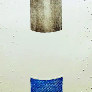 Joop Leijten - Verzamel 11 kopen? Bied vanaf 45!