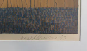 Mark Brusse - Schutting met emmers kopen? Bied vanaf 70!