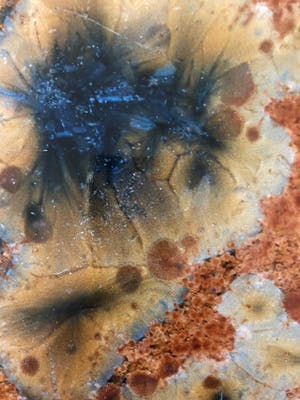 Theo Lode de Leede - Bloemen maar dan anders kopen? Bied vanaf 25!