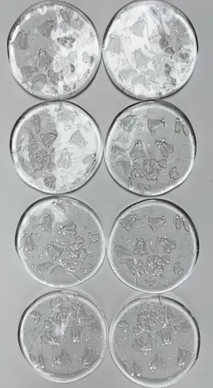 August Walther & Sohne AG - Glazen onderzetters/bordjes met bloemmotief (8) kopen? Bied vanaf 20!