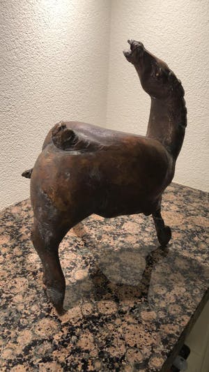 Jos Dirix - Steigerend paard kopen? Bied vanaf 900!