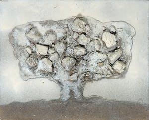 Mihajlo Petkovic - Olieverf en materie op doek, Boom kopen? Bied vanaf 50!