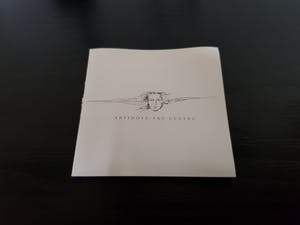 Corry Ammerlaan - Twee Sculpturen - Certificate of Origin kopen? Bied vanaf 1!