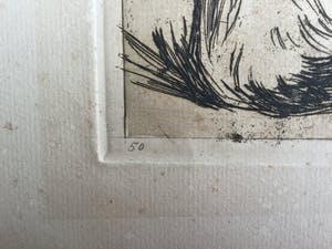 Willem de Zwart - Ets met 4 poezen kopen? Bied vanaf 75!