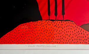 Ronald Boonacker - Villa Montesoggione kopen? Bied vanaf 50!