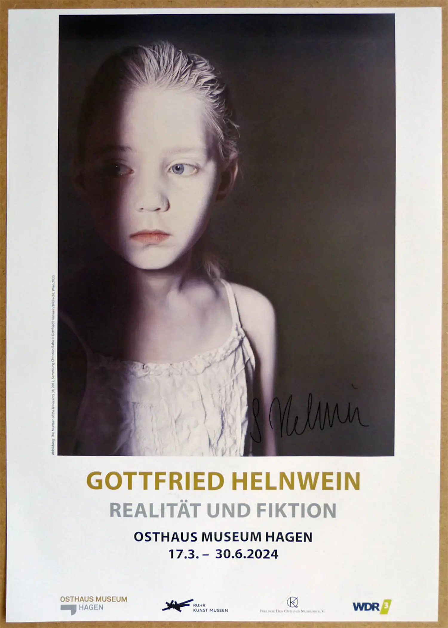 レアHELNWEIN作品集 大型本 洋書 Gottfried Helnwein Gottfried Helnwein Sleep of Reason ARTBOOK | D.A.P. 2021