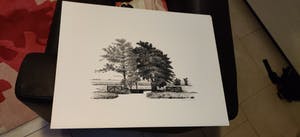 Sees Vlag - Krimpenerwaard kopen? Bied vanaf 10!