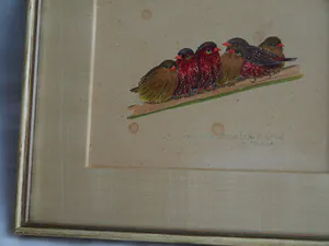Niet of onleesbaar gesigneerd - Ingelijst, Gouache , 6 Vogeltjes op een tak - Oud kopen? Bied vanaf 1!