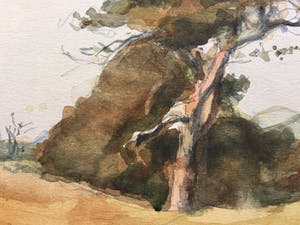 Willem Kooiman - Vier landschappen kopen? Bied vanaf 30!