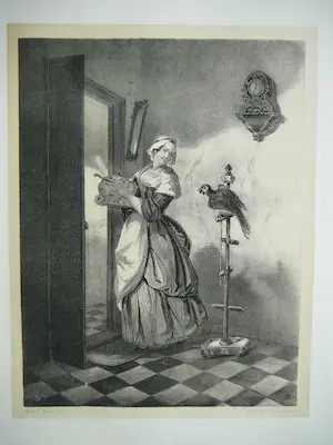 David Bles - Binnenhuis met pappagaai kopen? Bied vanaf 20!