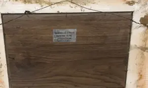 Henk Poeder - Koeien in het weiland kopen? Bied vanaf 85!