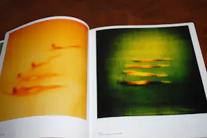 Michal Rovner - the Space between - hardcover 2002 - Whitney Museum New York kaufen? Bieten Sie von 125!