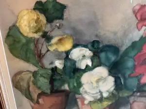 Jo Kruyder-Bouman - Begonia’s kopen? Bied vanaf 150!