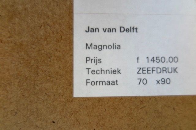 Jan van Delft - Magnolia - In mooi passe-partout en in houten Barth lijst kopen? Bied vanaf 1!
