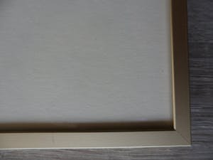 Jan Hein van Rooy - Litho, Plant Agave kopen? Bied vanaf 25!