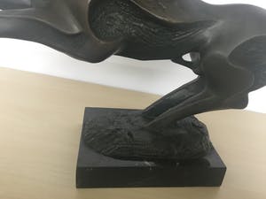 Brons (Onbekend) - Paard kopen? Bied vanaf 60!