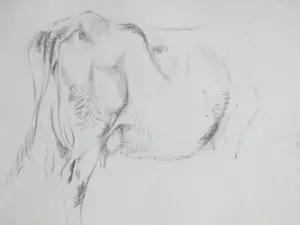 Frans Lebret - Drie studies van een rund - Tekeningen kopen? Bied vanaf 75!