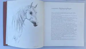 Piet Klaasse - Concours Hippographique kopen? Bied vanaf 50!