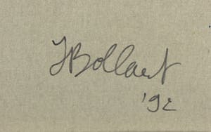 Jan Bollaert - Acryl op doek, Phoenix kopen? Bied vanaf 1!