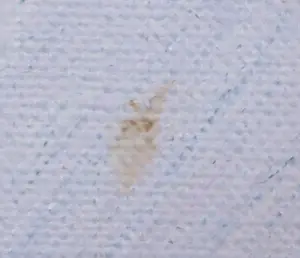 Cobi Nieuwstad - Acryl op doek, Nachtland kopen? Bied vanaf 60!