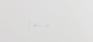 Jaap Hillenius - Aquarel en litho, rood oranje (bewolkt) kopen? Bied vanaf 50!