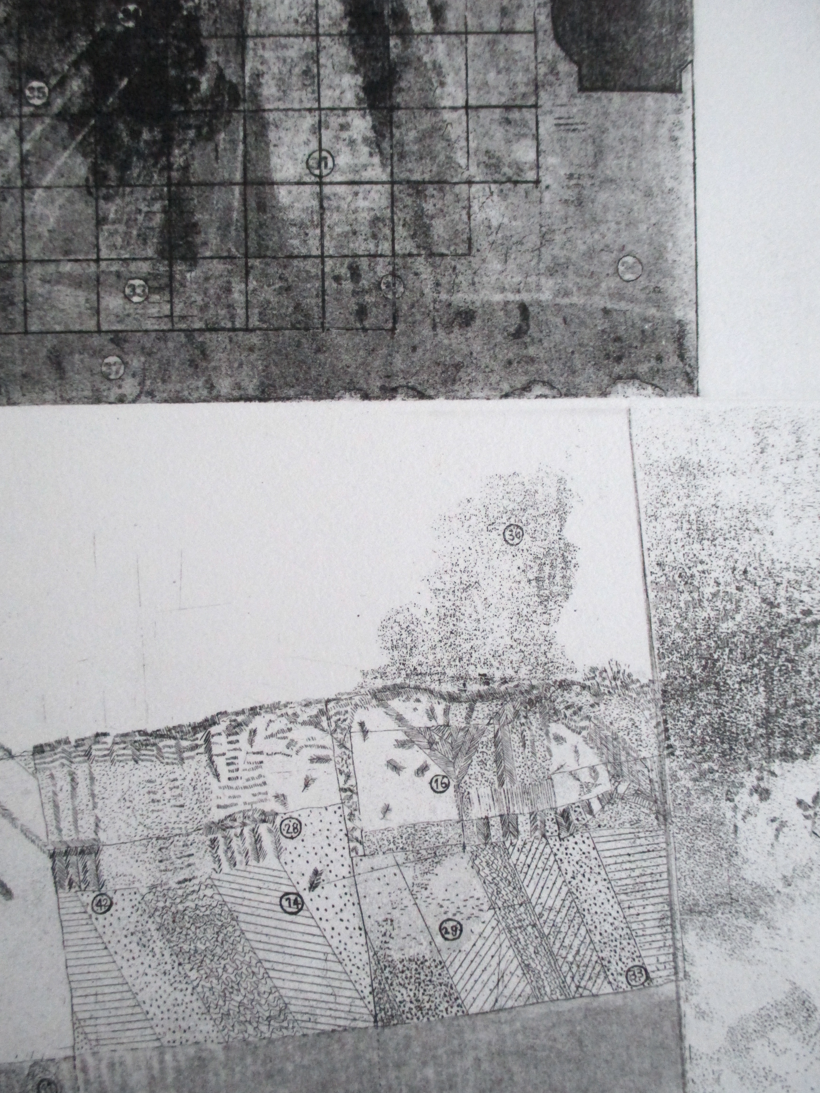 Aleid Mansholt - Ets kleine oplage kopen? Bied vanaf 25!