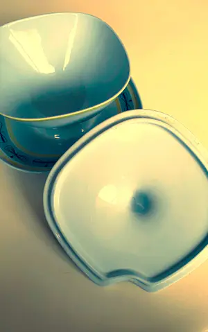 De Sphinx - Royal Sphinx sauskom met deksel – decor “Libel” – Maastricht – jaren ’60 kopen? Bied vanaf 27!