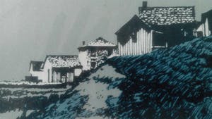 Leo Kools - Ierland duinenkust kopen? Bied vanaf 24!