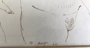 Herman Berserik - Naakte vrouwen kopen? Bied vanaf 65!