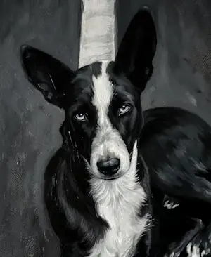 Mr Strange - Op de weg (De witte lijn) kopen? Bied vanaf 85!