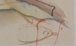 Wilhelm Senoner - Aquarel, Overgave + boek! kaufen? Bieten Sie von 40!