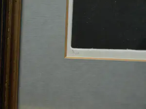 Uto Hogerzeil - Ingelijste ets en aquatint , Jonge Grutto (?) – 1979 – Lijst, 28 x 63 cm. kopen? Bied vanaf 80!