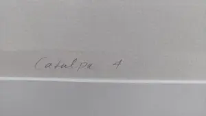 Sieb Posthuma - 'Catalpa 4' uit 1998 kopen? Bied vanaf 100!