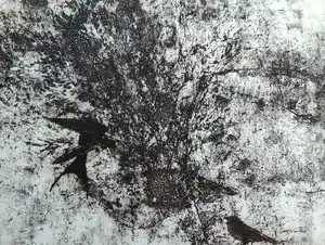 Hans Buining - Vogels verkauft für € 40!