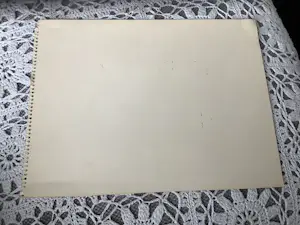 Niet of onleesbaar gesigneerd - Dordrecht 9 april ‘60 kopen? Bied vanaf 10!