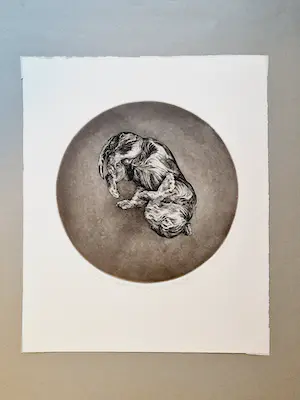 Dick Stolwijk - Realistische - kleine oplage (50) eigen druk - Ets "slapende pup" - potloodges kopen? Bied vanaf 1!