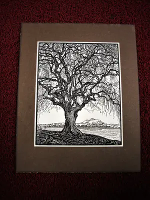 Jaap Veldheer - Magnifiek Grafiek - omstreeks 1930 - grote Houtsnede "oude wilg" kopen? Bied vanaf 37!