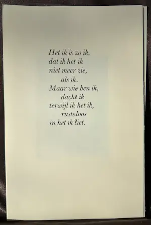 Ab Steenvoorden - Ons zelf spiegelen kopen? Bied vanaf 67!