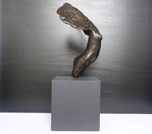 Brons (Onbekend) - "torso angel" kopen? Bied vanaf 155!