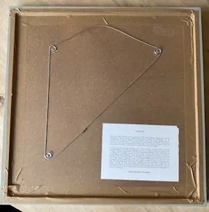 Karin Bos - Zeefdruk: Appearance / disappearance kopen? Bied vanaf 30!