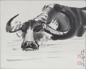 Niet of onleesbaar gesigneerd - Tak & Stier kopen? Bied vanaf 10!