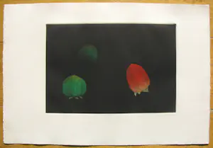 Tomoe Yokoi - 'Kaki' Prachtige mezzotint kaufen? Bieten Sie von 10!