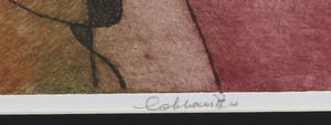 Jan Cobbaert - Ets en aquatint, Zonder titel - Ingelijst kopen? Bied vanaf 100!